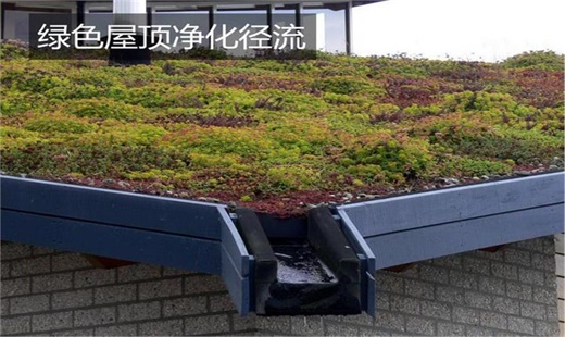 海绵城市绿色屋顶净化径流